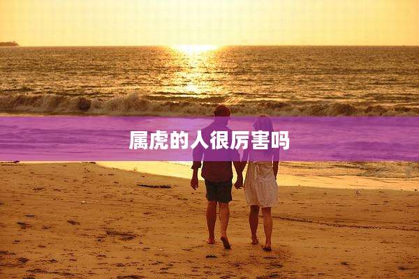 属虎的人很厉害吗