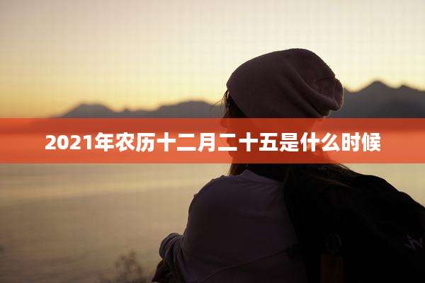 2021年农历十二月二十五是什么时候