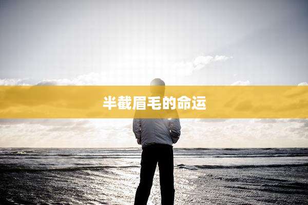 半截眉毛的命运