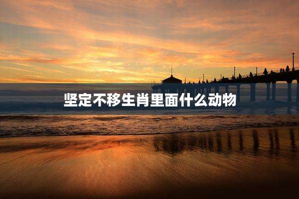 坚定不移生肖里面什么动物