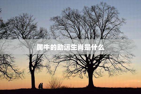 属牛的助运生肖是什么