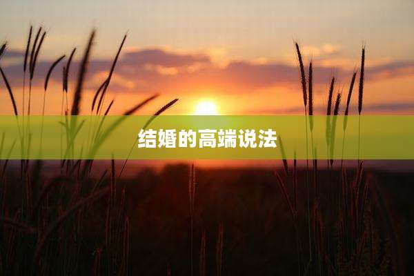 结婚的高端说法