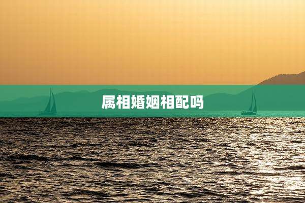 属相婚姻相配吗