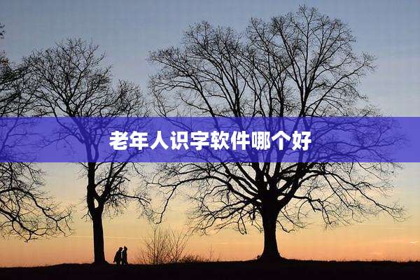 老年人识字软件哪个好