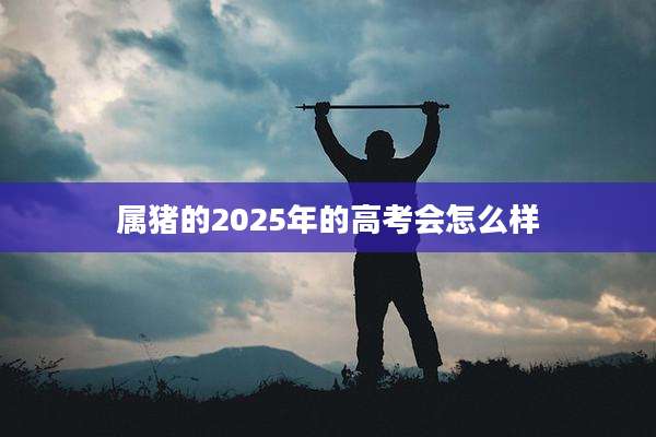 属猪的2025年的高考会怎么样
