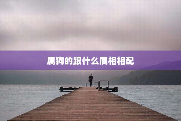 属狗的跟什么属相相配