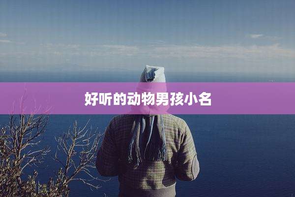 好听的动物男孩小名