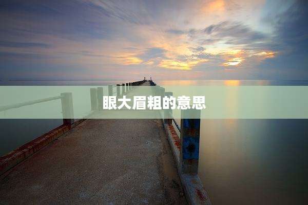眼大眉粗的意思
