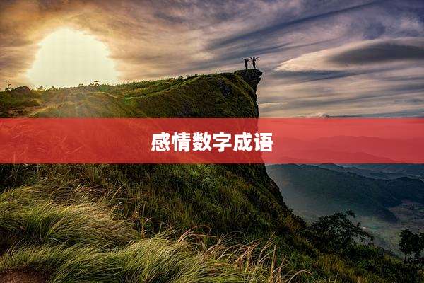 感情数字成语