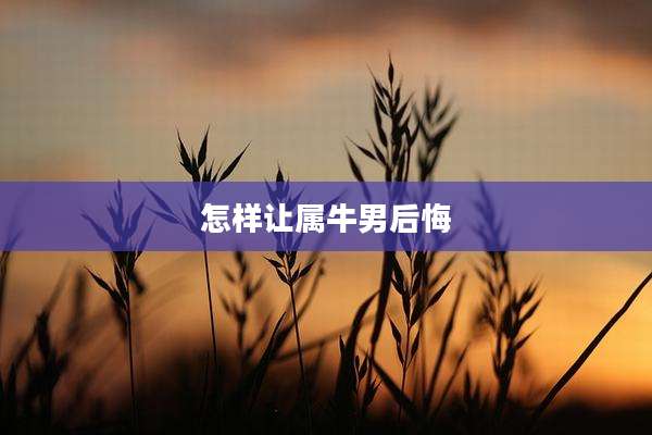 怎样让属牛男后悔