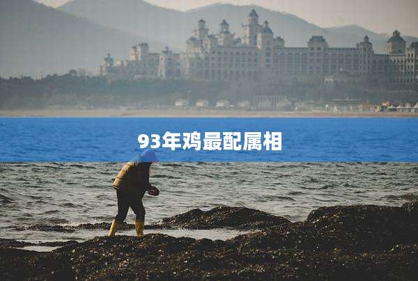 93年鸡最配属相