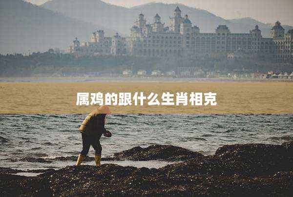 属鸡的跟什么生肖相克