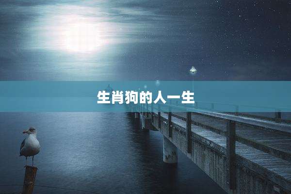 生肖狗的人一生