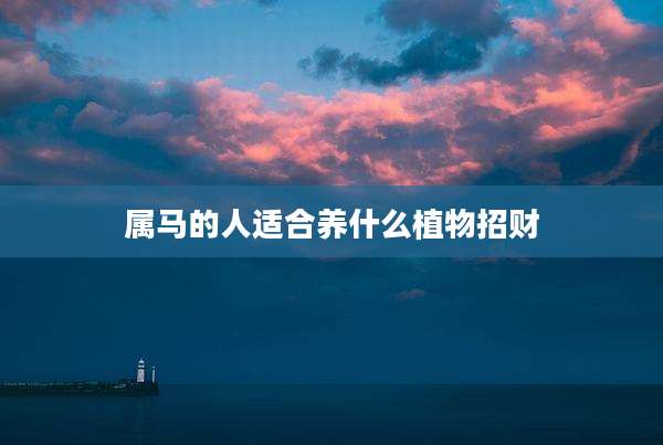 属马的人适合养什么植物招财