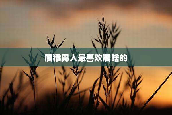 属猴男人最喜欢属啥的