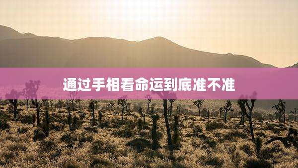 通过手相看命运到底准不准