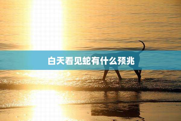 白天看见蛇有什么预兆