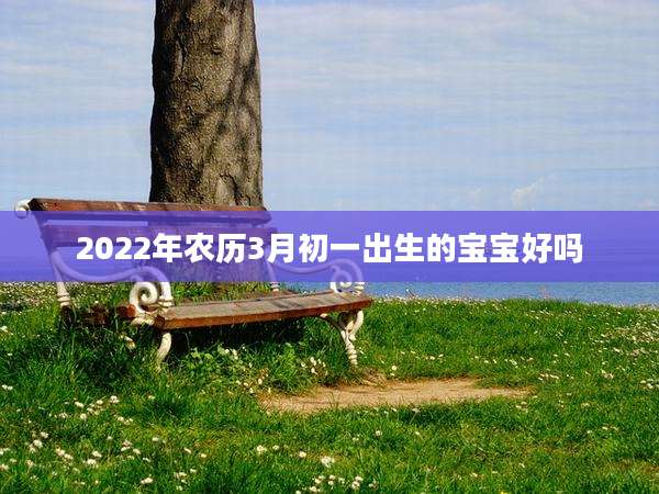 2022年农历3月初一出生的宝宝好吗