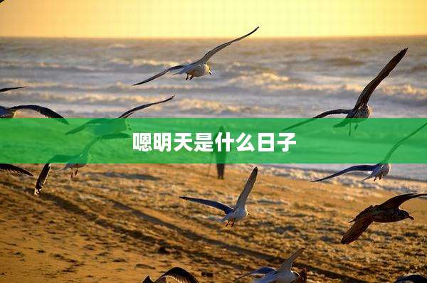 嗯明天是什么日子