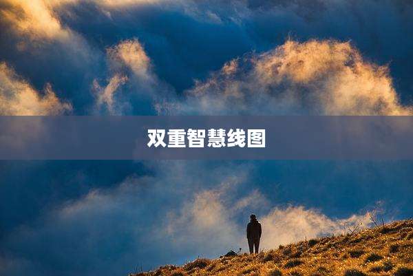 双重智慧线图