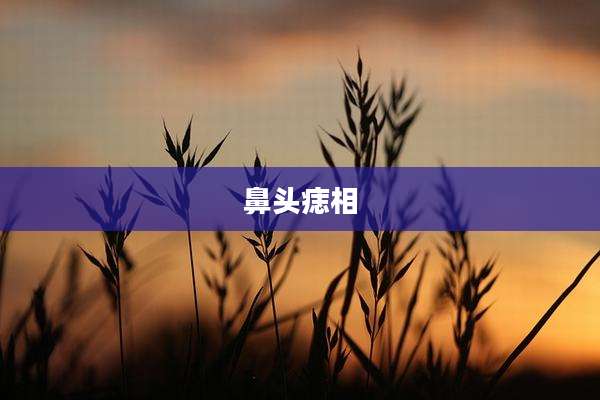 鼻头痣相