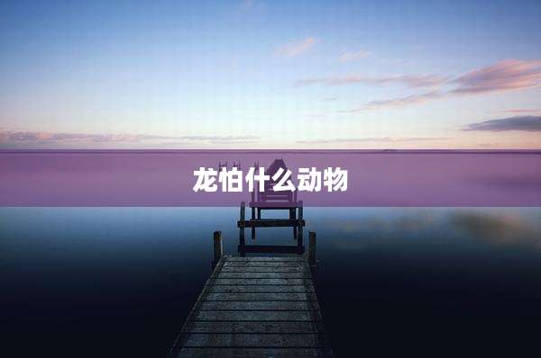 龙怕什么动物