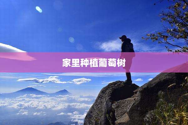 家里种植葡萄树