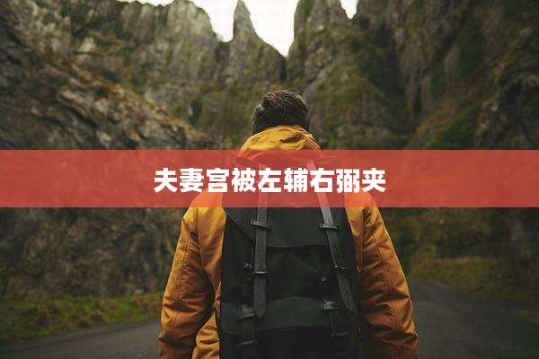 夫妻宫被左辅右弼夹