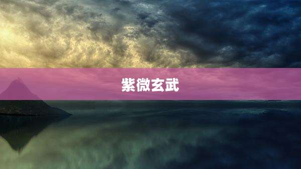 紫微玄武