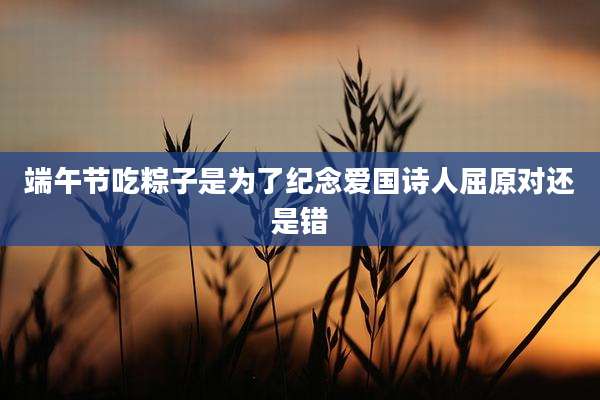 端午节吃粽子是为了纪念爱国诗人屈原对还是错