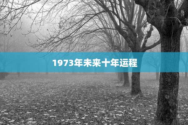 1973年未来十年运程