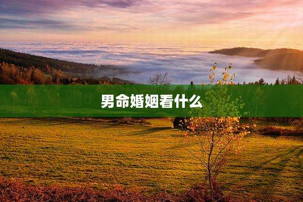 男命婚姻看什么