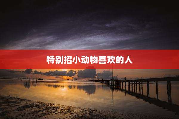 特别招小动物喜欢的人