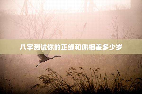 八字测试你的正缘和你相差多少岁