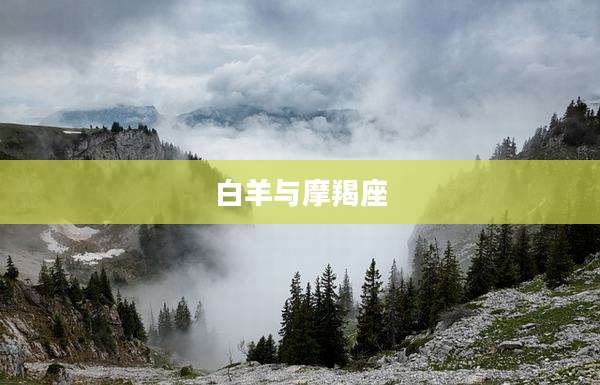 白羊与摩羯座