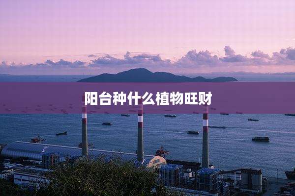 阳台种什么植物旺财