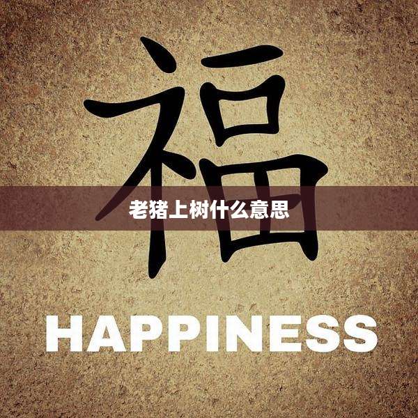 老猪上树什么意思