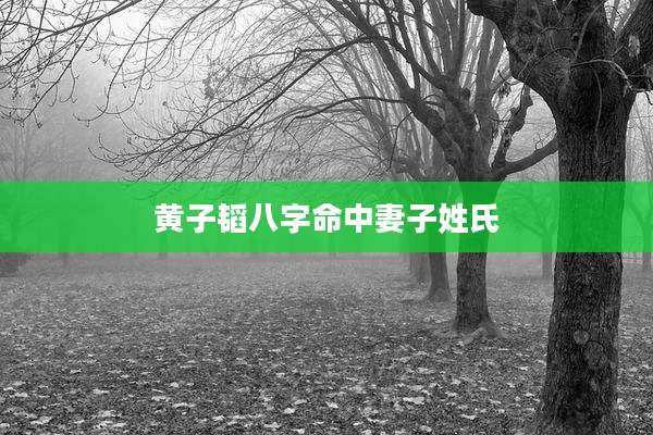 黄子韬八字命中妻子姓氏