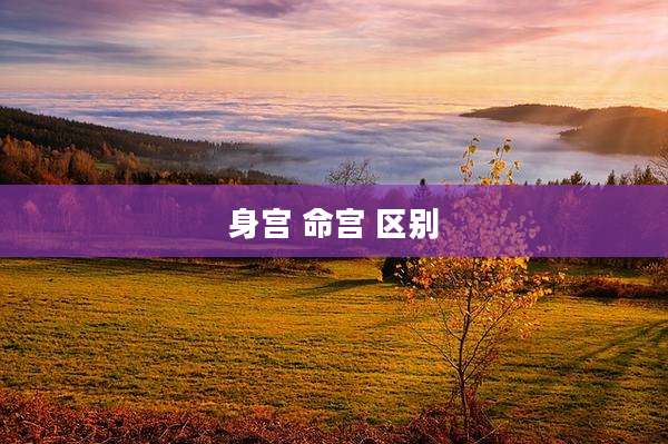 身宫 命宫 区别