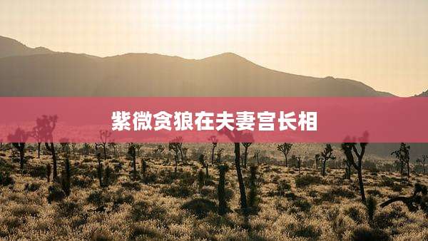 紫微贪狼在夫妻宫长相