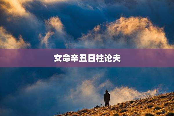 女命辛丑日柱论夫