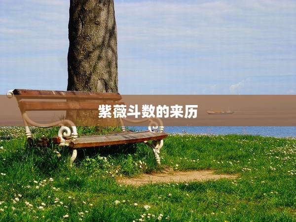 紫薇斗数的来历