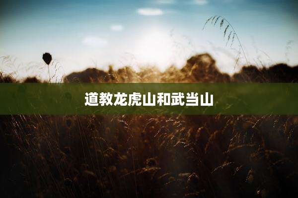 道教龙虎山和武当山