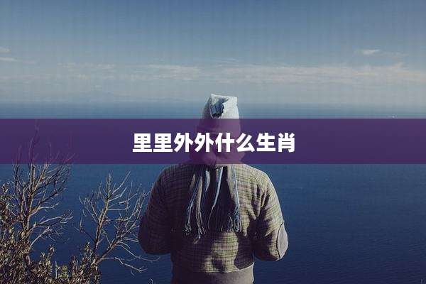 里里外外什么生肖