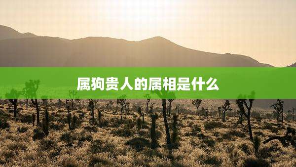 属狗贵人的属相是什么