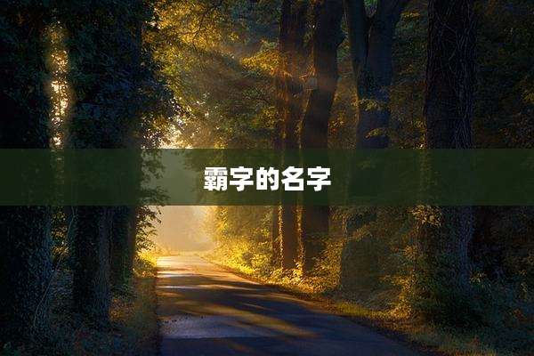 霸字的名字
