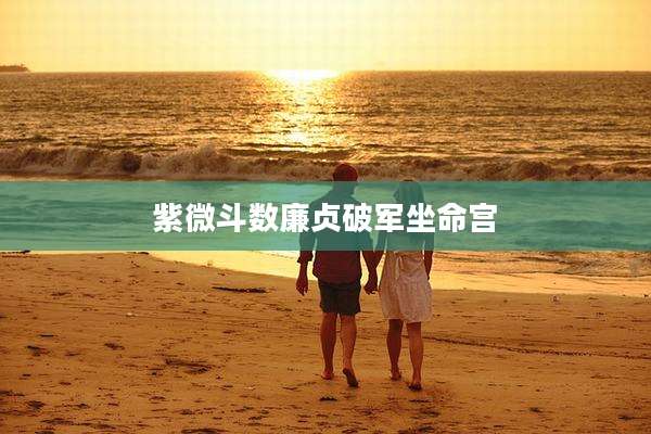 紫微斗数廉贞破军坐命宫