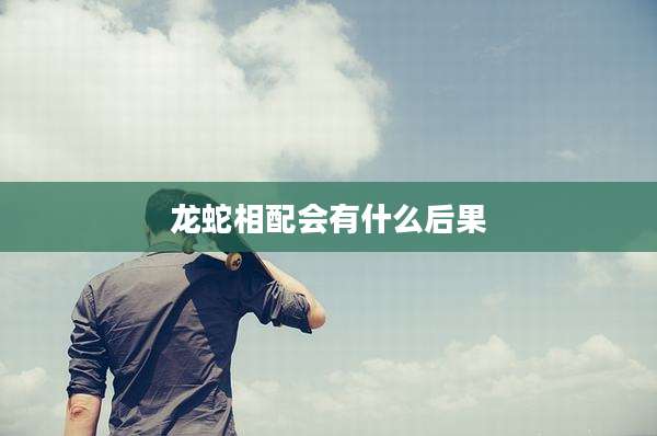 龙蛇相配会有什么后果