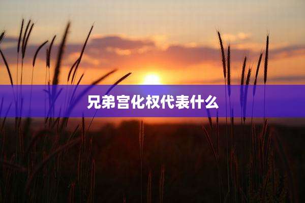兄弟宫化权代表什么