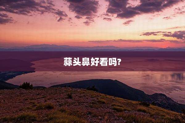 蒜头鼻好看吗?